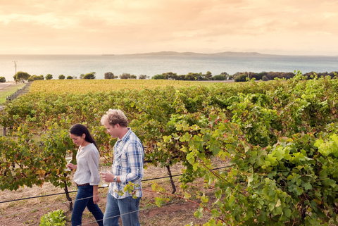 Boston Bay Wines - 2032 Olympic Games 0