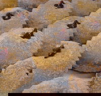 Miami Bakehouse Mandurah - 2032 Olympic Games