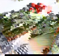 The Garden Tearooms  Cottage Nursery - 2032 Olympic Games