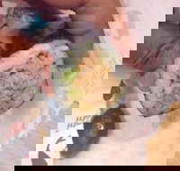 La Porchetta Colac - Colac - 2032 Olympic Games