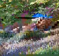 Macquariedale Organic Wines - 2032 Olympic Games