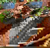 Masala Fusion - 2032 Olympic Games