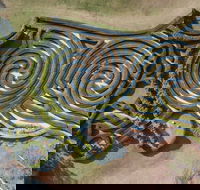 Bago Maze and Wine - 2032 Olympic Games