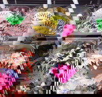 Gelateria Dolce Follia - 2032 Olympic Games