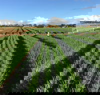 Hawkes Farm - 2032 Olympic Games