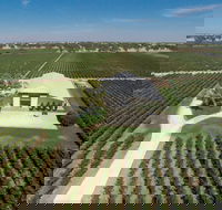 Parker Coonawarra Estate - 2032 Olympic Games