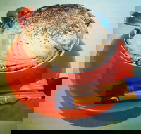 Routleys Bakery - 2032 Olympic Games