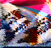 Donut King - Altona Meadows - 2032 Olympic Games