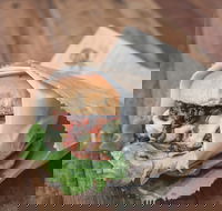 The Good Wolf - 2032 Olympic Games