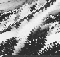 The Cordial Bar - 2032 Olympic Games