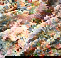 Al Fayhaa Bakery - 2032 Olympic Games