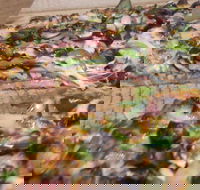 Papa's Pizza  Pasta - 2032 Olympic Games