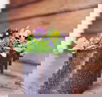 The York Mill - 2032 Olympic Games