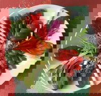 Olive Bus Clare - 2032 Olympic Games