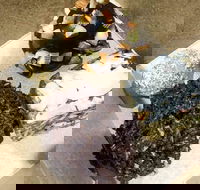 Frollicking Frog - 2032 Olympic Games