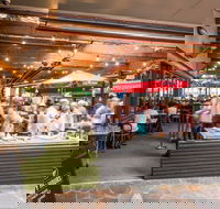 Henry  The Fox - 2032 Olympic Games