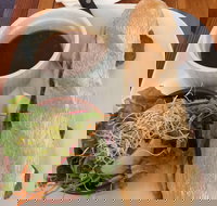 The Palms Cafe - 2032 Olympic Games