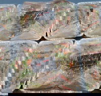 Red Fox Kafe - 2032 Olympic Games