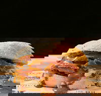 Sandwich Chefs - 2032 Olympic Games