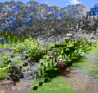 Woongooroo Estate Winery - 2032 Olympic Games