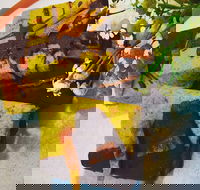 Social Brew - 2032 Olympic Games