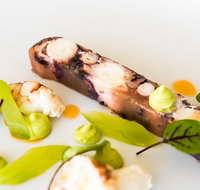 The Wild Herring - 2032 Olympic Games