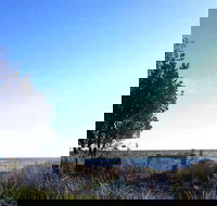 The Seafood Grill - 2032 Olympic Games