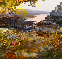 The Woodbridge Smokehouse - 2032 Olympic Games