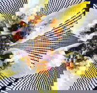 Crust - Gungahlin - 2032 Olympic Games