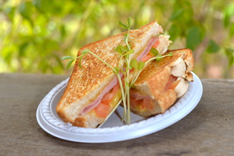 Wangi Falls Cafe - 2032 Olympic Games 2