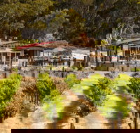 False Cape Wines Cellar Door - 2032 Olympic Games