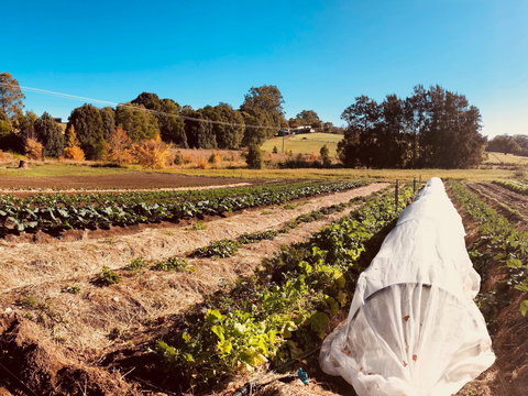 Synchronicity Farm - 2032 Olympic Games 0