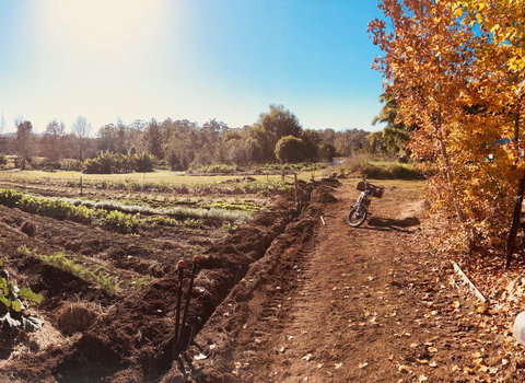 Synchronicity Farm - 2032 Olympic Games 1