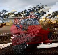 The Shiraz Republic - 2032 Olympic Games