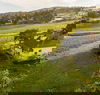 Kate Hill Wines - 2032 Olympic Games