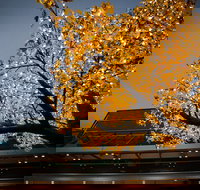 Tradies Helensburgh - 2032 Olympic Games