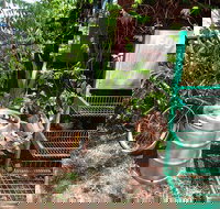 Larrimah Pink Panther Hotel - 2032 Olympic Games