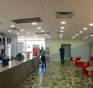 Red Rooster - 2032 Olympic Games