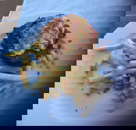 Bayside Inn - 2032 Olympic Games