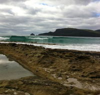 Bruny Island Berry Farm - 2032 Olympic Games