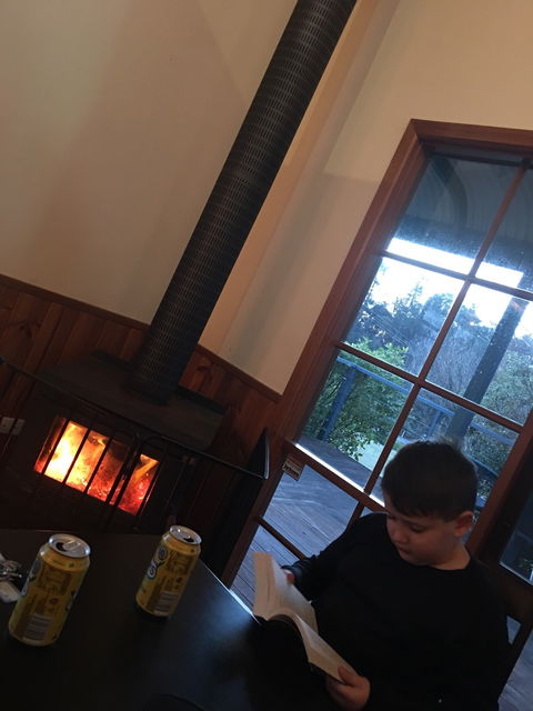 Fat Quoll Woodfire - 2032 Olympic Games 10