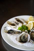 Hotel Bruny Bistro - 2032 Olympic Games 4