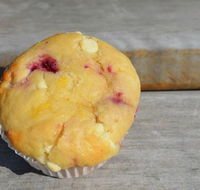 Ladybugs Cafe - 2032 Olympic Games