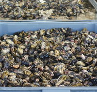 Lease 65 - 2032 Olympic Games