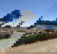 Penguin  Pardalote Coffee House - 2032 Olympic Games