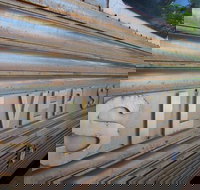 Silver Star Cafe - 2032 Olympic Games