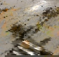 Central Hotel Restaurant - 2032 Olympic Games