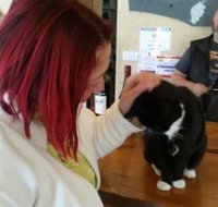 Stone Bridge Wines - 2032 Olympic Games