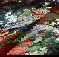 Hotel Settlers - 2032 Olympic Games