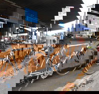 Fat Penguin - 2032 Olympic Games